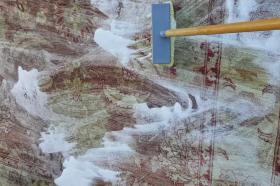carpet cleaning vancouver