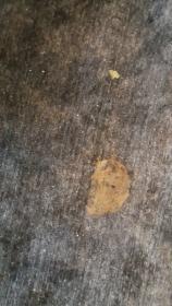 Area rug stain